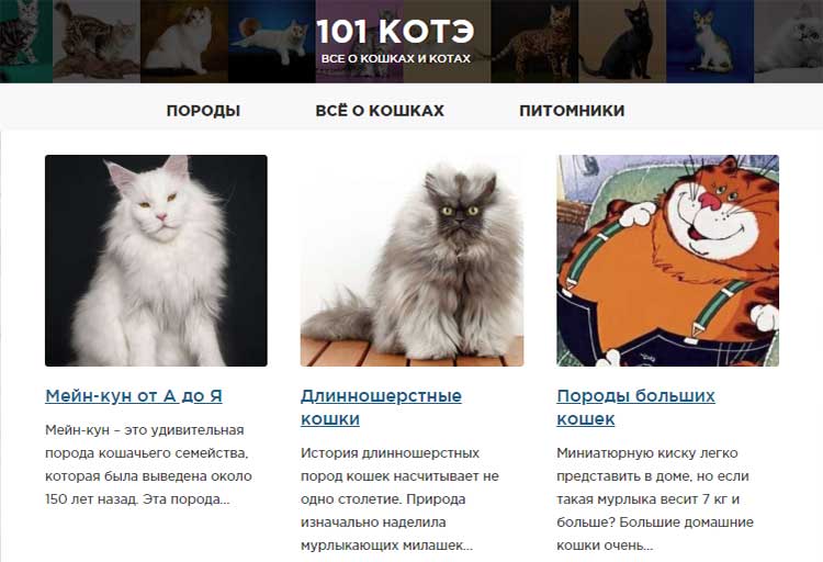 101 КОТЭ - сайт о котах и кошках