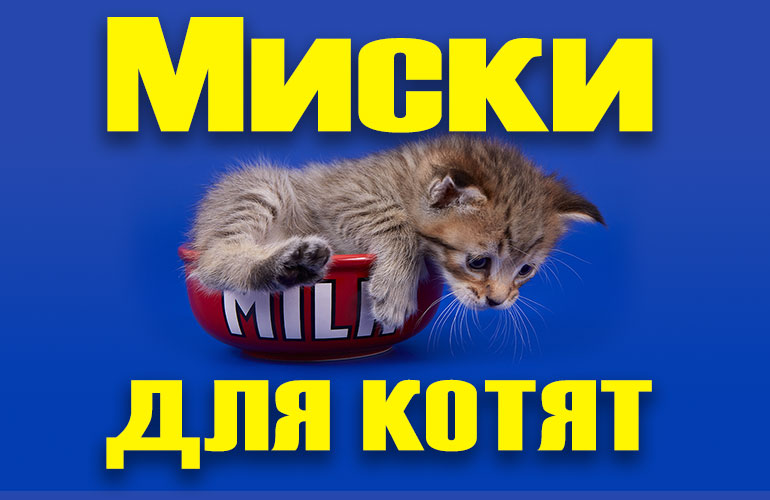Миски для котят и кошек